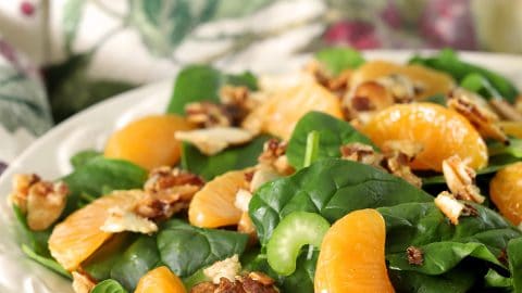 Mandarin Orange Salad Mandarin Orange Salad